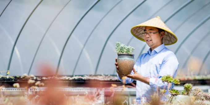 快来！一起走进蒸夏村的“多肉王国”